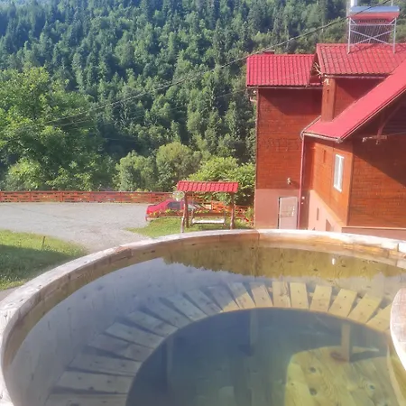 Pensiunea Viselor Cabană Vadu Motilor