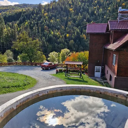 Pensiunea Viselor Cabană Vadu Motilor