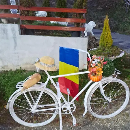 Pensiunea Viselor Cabană