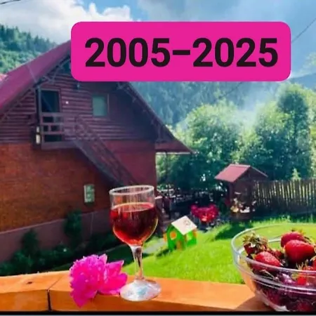 Pensiunea Viselor Hytte *
