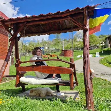 Pensiunea Viselor Domek letniskowy