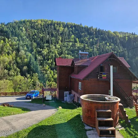 Pensiunea Viselor Domek letniskowy *