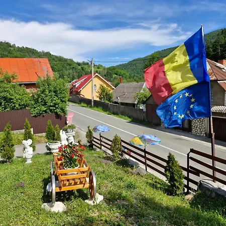 Domek letniskowy Pensiunea Viselor